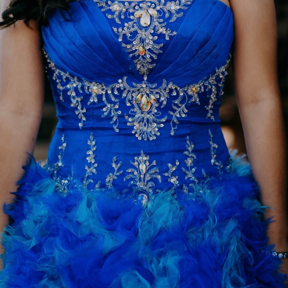 Quinceanera dress